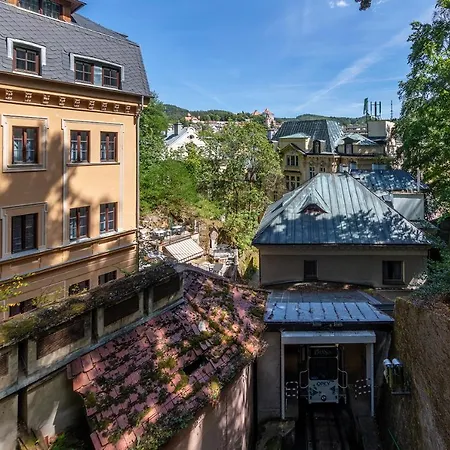 Jeleni Karlovy Vary