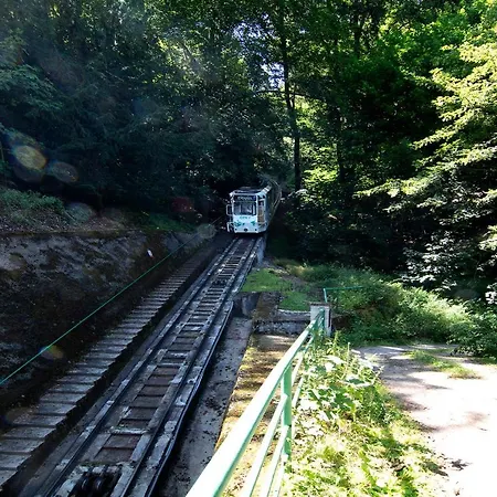 Jeleni Karlovy Vary